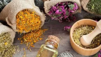 این گیاه دارویی کبدتان را نجات می‌دهد و در گرما خنک‌تان می‌کند
