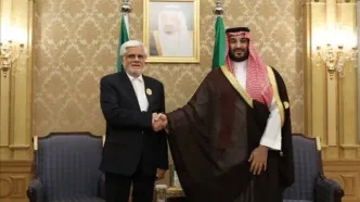 عارف با بن سلمان دیدار کرد