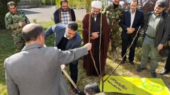 کاشت نهال به مناسبت  گرامیداشت  روز جهانی خاک در محوطه سازمان جهاد کشاورزی زنجان