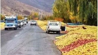 برخورد جدی با متخلفان انباشت سیب در حاشیه جاده های آذربایجان غربی