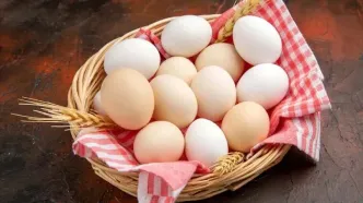 تخم‌مرغ چند؟/جدیدترین قیمت تخم مرغ امروز  شنبه ۱۸ اسفند ۱۴۰۳