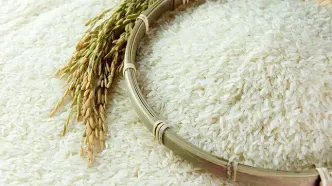 برنج ارزان ایرانی چی بخریم؟/جدیدترین قیمت برنج ایرانی و هندی امروز  سه‌شنبه ۲۱ اسفند ۱۴۰۳