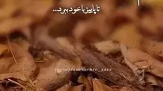 جملات ارسالی سلام صبح بخیر جمعه 23 آذر