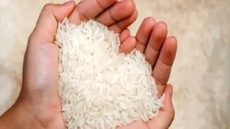 قیمت برنج هندی ۱۹ آبان ۱۴۰۴ | برنج درجه یک هندی کیلویی چند؟