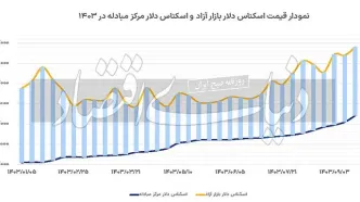 حرکت تند دلار رسمی