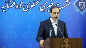 واکنش سخنگوی قوه قضائیه به بازداشت حجت‌الاسلام قاسمیان در عربستان
