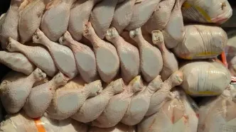 قیمت مرغ امروز دوشنبه ۱۴ مهر ۱۴۰۴