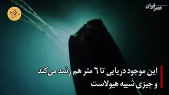 ظهور دوباره یک ماهی رازآلود؛ سر و کله پیشگوی مصیبت پیدا شده