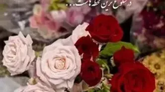 روز زن گرامی باد