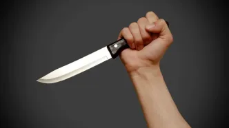 مجری زن شبکه افق به قتل رسید؛ انگیزه قاتل چه بود + عکس