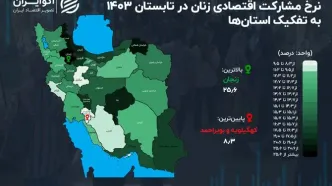 وضعیت مشارکت اقتصادی زنان در استان‌ها