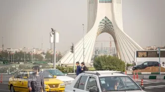 چرا درخت‌های میدان آزادی خشک شد؟