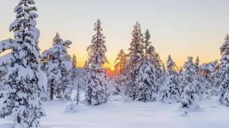 تفال به حافظ یکشنبه ۲۵ آذر ۱۴۰۳؛ ساقی حدیث سرو و گل و لاله می‌رود..