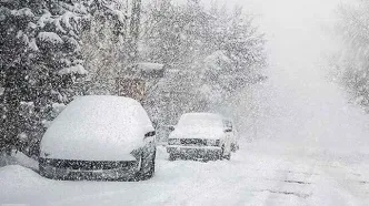 ببینید | بارش برف در منطقه یک تهران