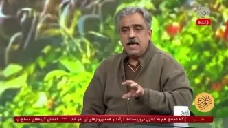 ایران را رهبر محور مقاومت می‌دانند؛ در جنگ با اسرئیل زدیم و خوردیم!