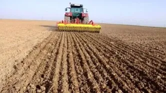 خرید تضمینی ۹۸۰ هزار تن گندم ‌ / کاهش ۳۰ درصدی بارندگی