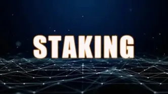 stake چیست؟