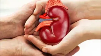 ۲۵ هزار بیمار در صف پیوند؛  ۶ هزار عضو حیاتی، سالانه دفن می‌شود