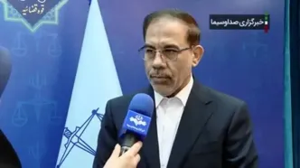 سخنگوی قوه قضائیه: ۱۰ کیفر خواست جدید در پرونده کلاهبرداری رمز ارزی شرکت آمیتیس صادر شده است