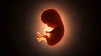 از هر ۶ زوج ایرانی، یک زوج نابارور است