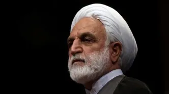 محسنی اژه‌ای: باید از نیروهای مختلف جامعه در شورای حل اختلاف استفاده کرد