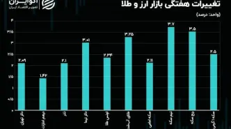 عامل بی‌نظمی در بازار ارز چیست؟/ حرکت خلاف جهت قیمت و حباب در بازار سکه