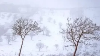 فرماندارفیروزکوه: جاده سمنان موقتا بسته شد