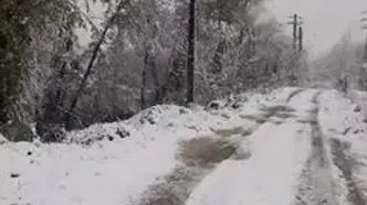 بارش برف در روستای پاشاکی گیلان + فیلم