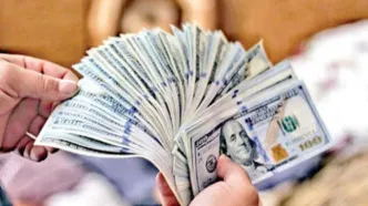 قیمت دلار و یورو پنجشنبه ۱۳ دی ۱۴۰۳ | افزایش ۳۱۹ تومانی حواله دلار آمریکا