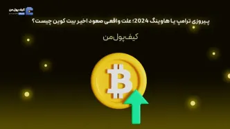 پیروزی ترامپ یا هاوینگ 2024؛ علت واقعی صعود اخیر بیت کوین چیست؟