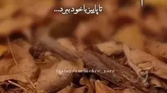 جملات ارسالی سلام صبح بخیر جمعه 23 آذر + فیلم