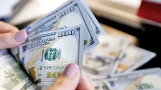 پیش بینی قیمت ارز و دلار (سه شنبه ۲ بهمن ۱۴۰۳)