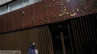 یارانه‌گیرها بخوانند: طرح جدید دولت در راه است!