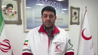 ابراز همدردی هلال احمر با صلیب سرخ آمریکا / اعلام آمادگی ایران برای کمک به حادثه دیدگان آتش سوزی لس آنجلس