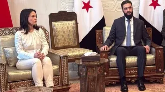 وزیر خارجه آلمان: لبخند شیرینم را از جولانی محروم کردم