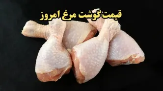 آخرین تحولات بازار مرغ/جدیدترین قیمت مرغ امروز چهارشنبه ۲۲ اسفند ۱۴۰۳