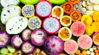 قیمت جدید آناناس، انبه و بلوبری اعلام شد - ۲۱ تیر ۱۴۰۴