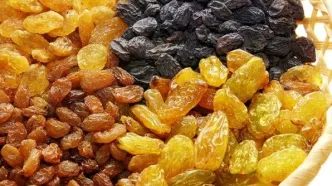 ۲۱ دانه جادویی؛ چرا باید هر روز مویز بخوریم؟