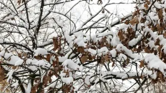 بارش برف و باران در تهران و ۶ استان دیگر