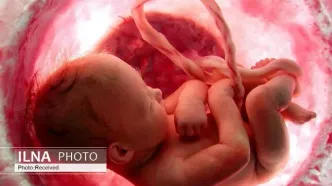 جلوگیری از ۲۰ مورد سقط جنین توسط دفتر آیت‌الله مکارم شیرازی