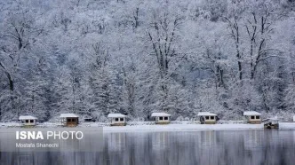 بارش برف و باران در این چند استان/ ساکنان بخوانند