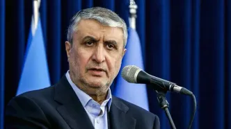 ببینید | رئیس انرژی اتمی: ایران فعالیت پنهانی هسته‌ای ندارد