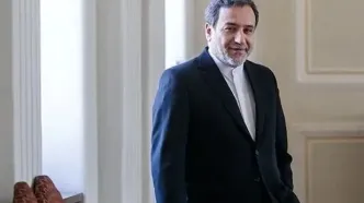 تصویر جدید از همسر عباس عراقچی وایرال شد/فیلم