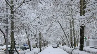 تصاویری جذاب از بارش برف در شمال تهران