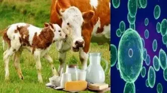 هشدار وزارت بهداشت درباره افزایش یک بیماری