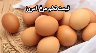 بازار داغ تخم مرغ/تازه ترین قیمت تخم مرغ امروز یکشنبه ۲۶ اسفند ۱۴۰۳