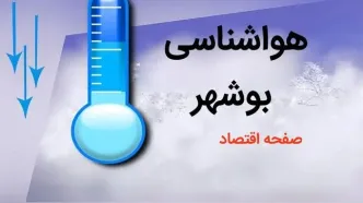 پیش بینی وضعیت آب و هوا بوشهر فردا چهارشنبه ۳ بهمن ماه ۱۴۰۳ + هواشناسی بوشهر طی ۲۴ آینده