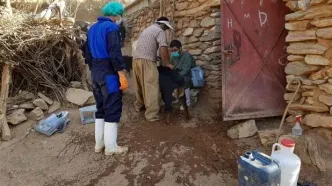 هشدار وزارت بهداشت درباره افزایش تب مالت