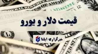 قیمت دلار و یورو امروز یکشنبه ۱۴ اردیبهشت ۱۴۰۴ + جدول
