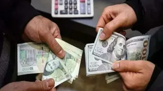 آخرین خبر از قیمت دلار و یورو امروز سه شنبه ۳۰ بهمن ۱۴۰۳ + جدول قیمت